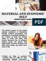 Material and Economic Self-4