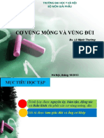 Cơ Vùng Mông, Đùi