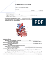 0 Sistemul Circulator La Om