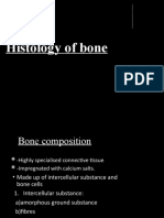 Bone 5