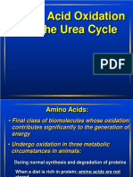 Amino Acid Oxidation and The Urea Cycle