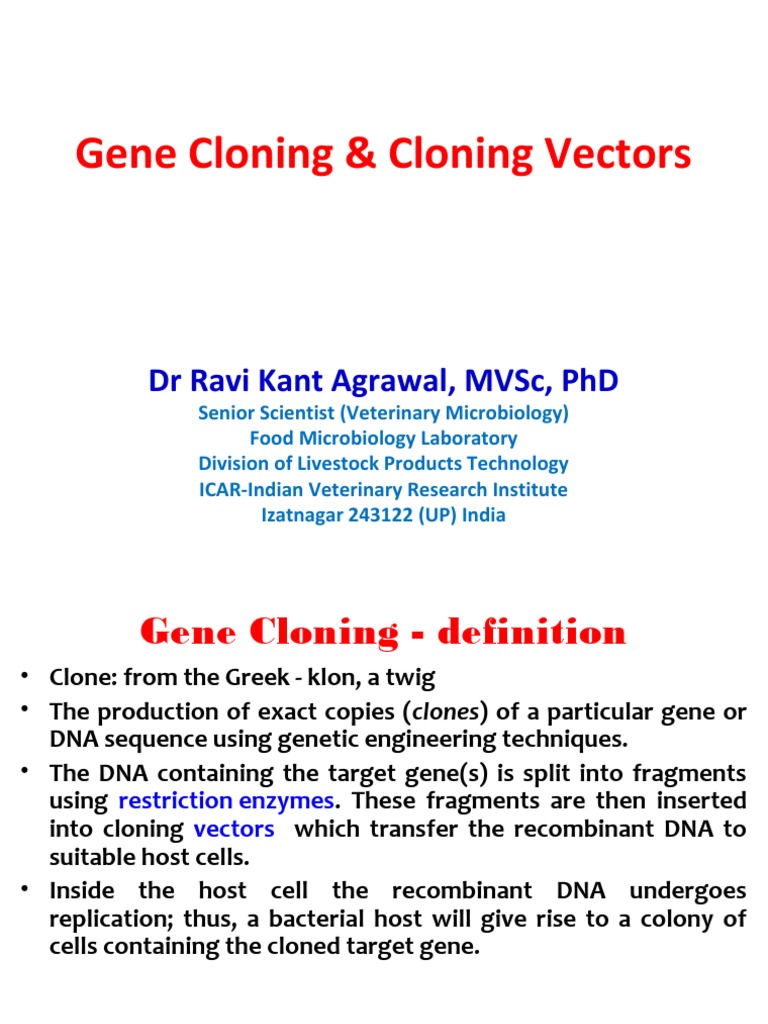 Blue-White Screening in Gene Cloning | PDF | Molecular Cloning | Plasmid