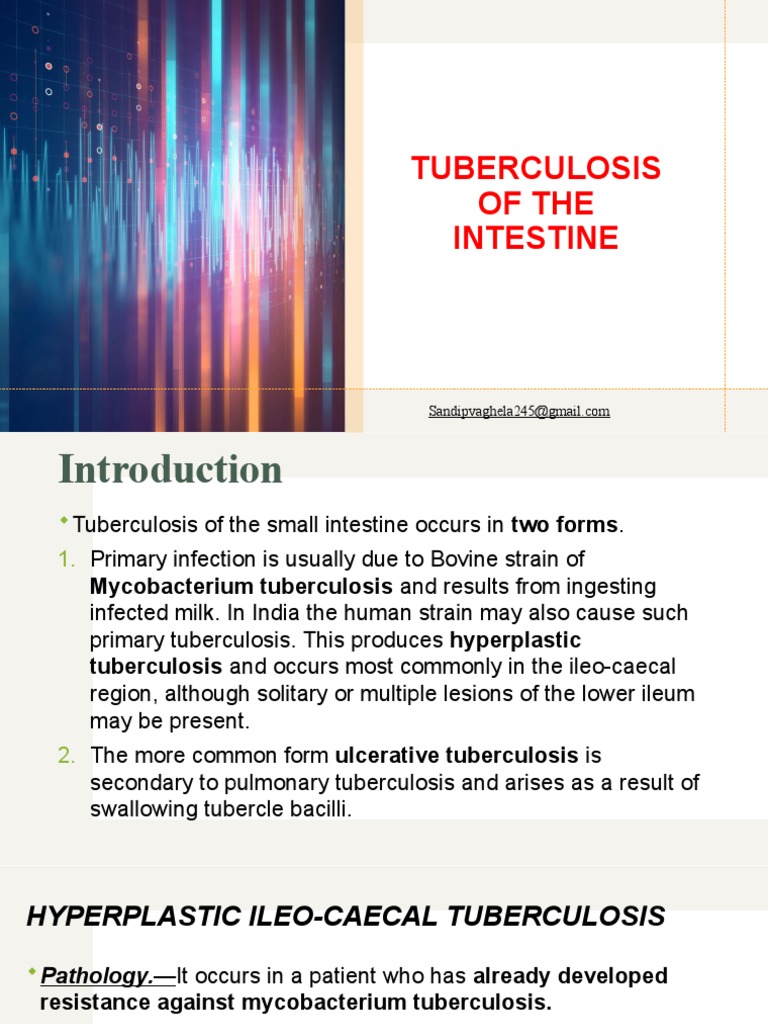 TB of Small Intestine PDF Crohn's Disease Tuberculosis