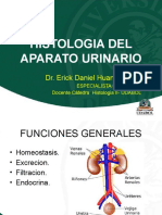 Histologia Del Aparato Urinario (