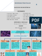 Mapa Conceptual ALTERACIONES CROMOSOMICAS