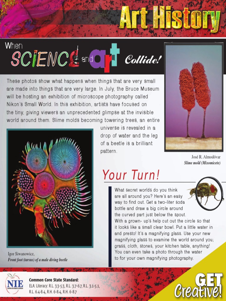 Science Art | PDF | Nature