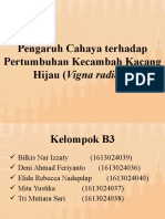 Pengaruh Cahaya Terhadap Pertumbuhan Kecambah_B3