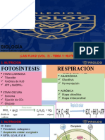 5º Fijas 2 (39 - 52 IIB) - Guillermo Campó