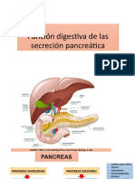 Función digestiva de las secreciones