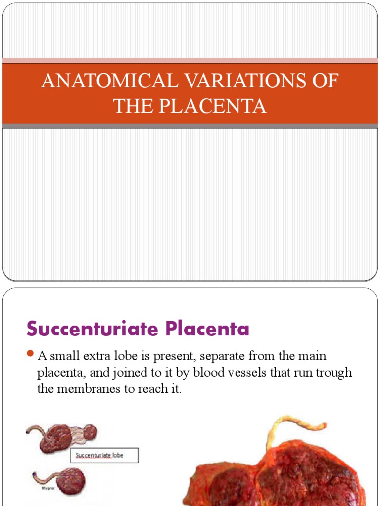 Anatomical Variations of the Placenta | PDF