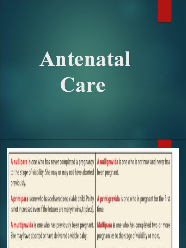 Antenatal Care | PDF | Prenatal Development | Pregnancy