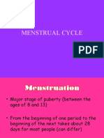 Menstrual Cycle