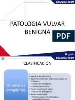 13.- Guía Gráfica Patología Vulvar