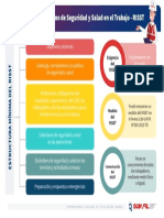 Infografia - Estrutura Del RISST