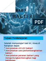 BAKTERI