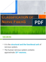 Classification of NF by DR MKB