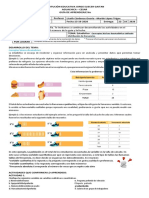 Estadística básica: Tablas de distribución de frecuencias