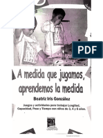 Beatriz Gonzalez (2007) Medida