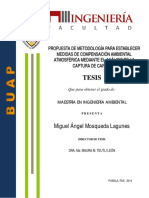 Propuesta de Metodologia Para Compesación Ambiental Atmosferico Mediante Analisis de Captura de Carbono