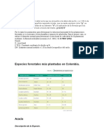 Area Basal Definición