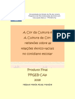 A COR DA CULTURA E - produto final - portfólio
