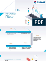 Guia Prueba Piloto PDF