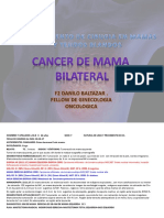 Cancerdemamabilateralmtb 180217231709