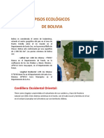 Pisos Ecologicos