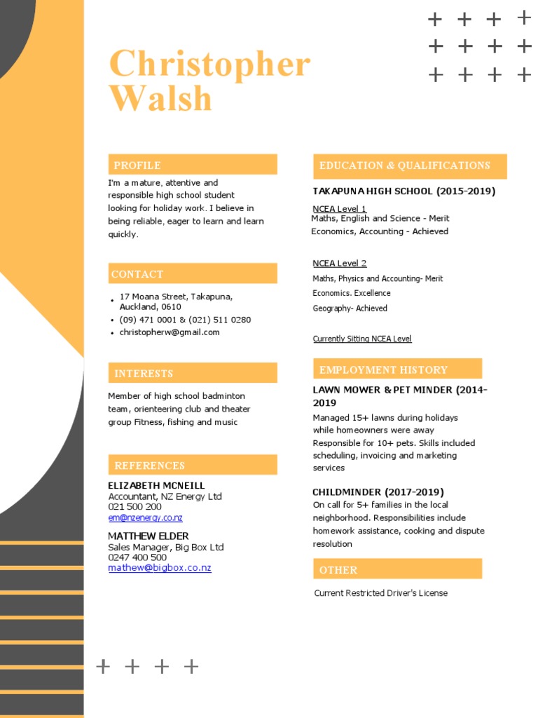 Moneyhub - Student CV Example | PDF