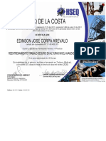 Certificado N°2317 Edinson Jose Corpa Arevalo