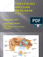 Mamd 2114 Simptomatologi Gangguan Pendengaran