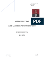 Curriculum Vitae Jaime