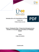 Formato 4 - Formato Para La Elaborar La Proyección Del Propio Proceso Formativo en El Programa de LIPI (1) (1)