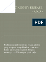 Chronic Kidney Disease (CKD)