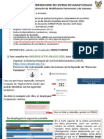 Guía de Recomendaciones - Sistema Declaranet Hidalgo 2021
