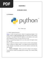 Python Project Report