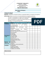 Guia Observacion Lineatiempo