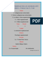 Tarea 1. Parcial 2. Psicología Organizacional.