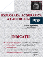 Exploraea Ecografica A Cailor Biliare