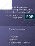 2a Aplicatii Clinice Doppler Si Tipuri de Flux Explorare Vasc Visc Si Tipuri de Flux Badea