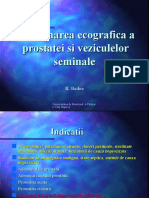 Examinarea Ecografica A Prostatei Si Veziculelor Seminale