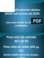 Resultado Confinamento