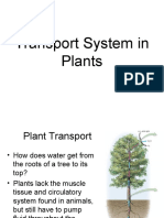 Transport System in Plants