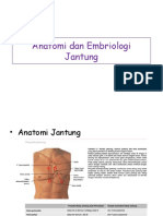 Anatomi Dan Embriologi