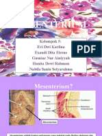 Mesenterium Kel 5