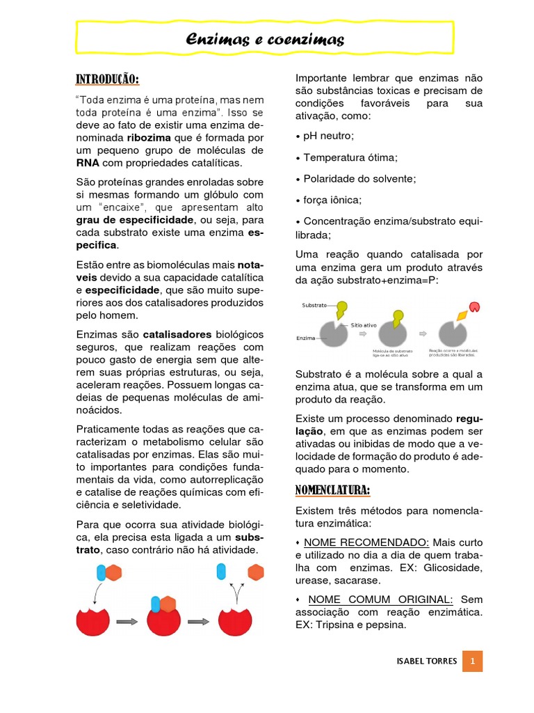 Estrutura e Função das Enzimas | PDF | Produto (Química) | Enzima, image size:768x1024