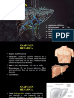 ANATOMIA HEPATICA y HEPATITIS A