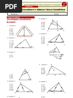 24 Practica Dirigida N1 Triángulo Angulo Trigonometrico 1º Sec