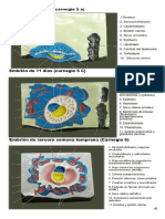 1 Maquetas