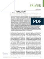 Primer: Acute Kidney Injury